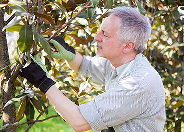 İca Agro Ürün İnceleme